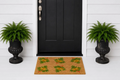 Coir Mat